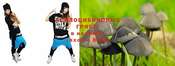 ПСИЛОЦИБИНОВЫЕ ГРИБЫ Новокубанск