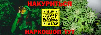 стаф Донской