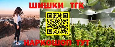 стаф Донской