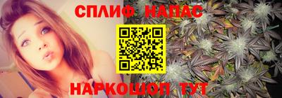 стаф Донской