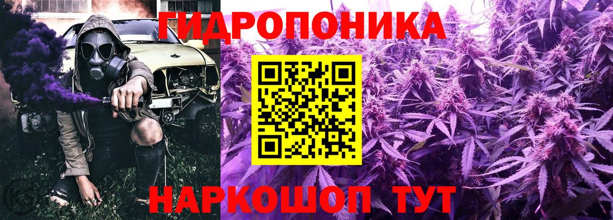 Шишки марихуана AK-47  Бошки марихуана THC 21%  Шишки марихуана Amnesia  Кашира  Вход с VPN 